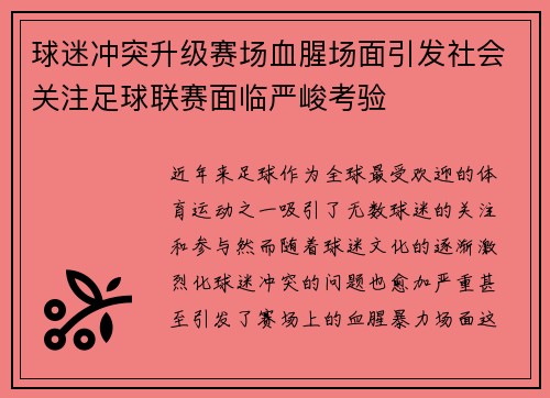 球迷冲突升级赛场血腥场面引发社会关注足球联赛面临严峻考验